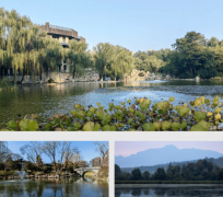 <b>揽长乐公园、兴庆公园、青龙寺公园、曲江池遗</b>